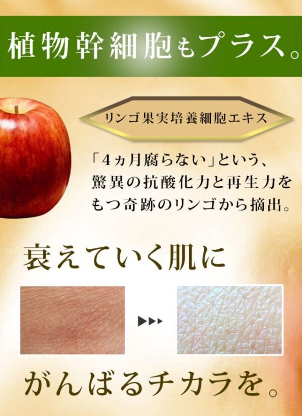 Educe Beaute 人類幹細胞美容面膜 7片 Stem Cell Face Mask 7Pcs：圖片 6